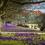 Grand Park 4* Szczecin